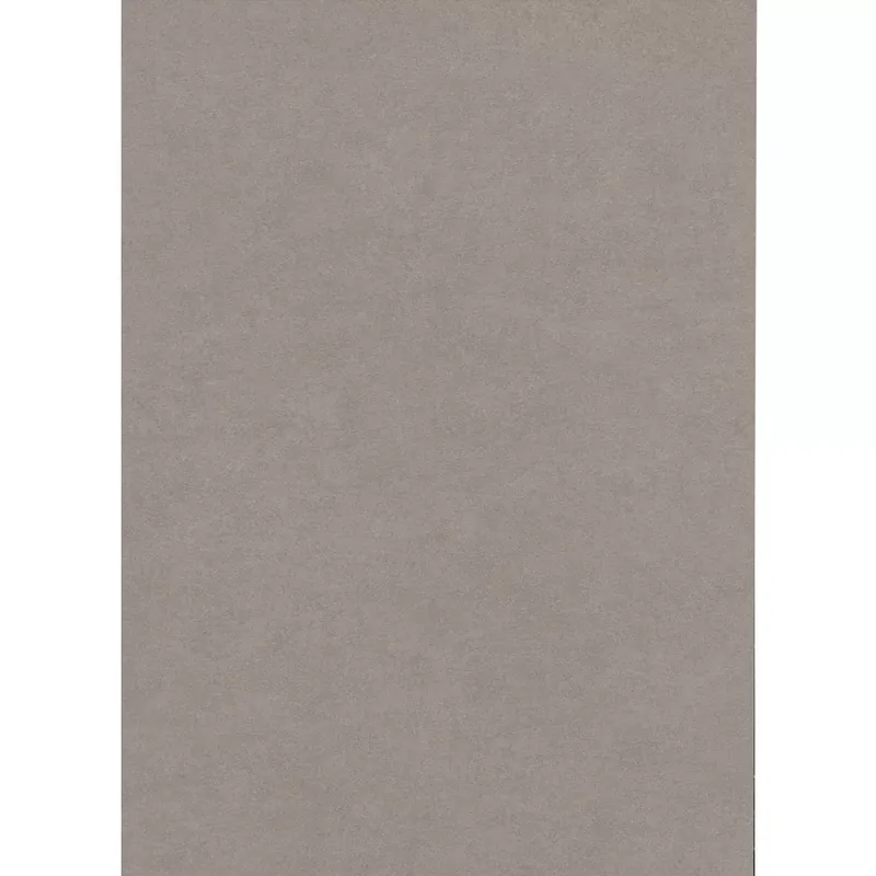 Gyors kiszállítás Kolossal Világos Szürke 60x120 cm