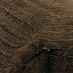 KAINDL NATURAL TOUCH SDD, K4362 TÖLGY FARCO ELEGANCE RF laminált padló Ac 4 9Mm Olcsó