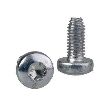 ÖNMETSZŐ TORX CSAVAR T30 (M6X12) Akció