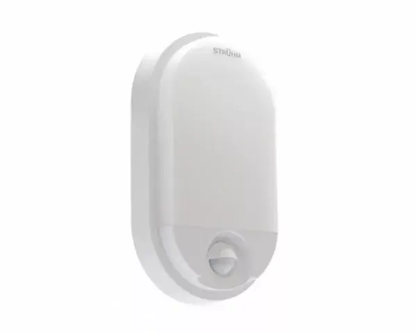 Bestseller Strühm Pedro 15 W-os 210x120 mm kültéri lámpa mozgásérzékelős