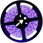 Legkelendőbb LEDmaster Prémium 60 LED/méteres 12 V-os kültéri UV LED szalag 5m/ tekercs