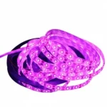 Kedvezményes ár LEDmaster Prémium 60 LED/méteres 12 V-os kültéri pink LED szalag 5m/ tekercs